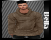 Casual Brown Sweater