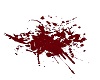 Blood Splatter