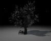 D~ Dark Solitary tree