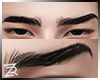 !R Nature Brows II