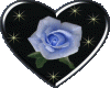 Blue Rose Heart