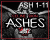 Ashes - C.D.