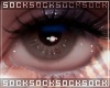 𝒔. observe III ⚥