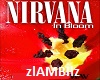 Nirvana-In Bloom