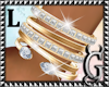 G. JFLASH/ Brac.L