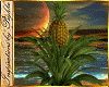 I~Island Pineapple Plant
