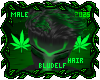 Kush Hair