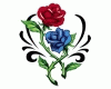 red/blue roses on white
