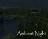 AV Ambient Night