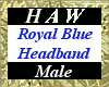 Royal Blue Headband - M