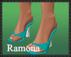 Teal Nightshoes