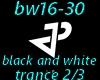 bw16-30 black and white2