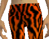 Tiger In My Pants