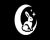 Bunny ;