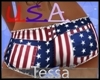 TT: U.S.A. Shorts