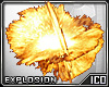 ICO Explosion