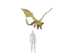 Matth Dragon