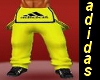 yellow&black  pant
