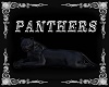 Frame Panthers