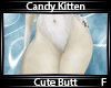 C. Kitten Cute Butt F