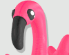 𝓚. Flamingo Float