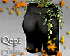 Black Statue Plant