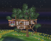 Wonder Tree House