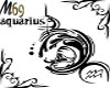 [M69] Aquarius 2