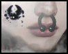 !隔cow septum v2