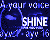 A.your voice  mix
