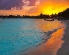 Cancun Sunset Canvas