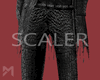 [M] Scaler