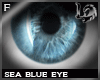 [LD]3Dseablue eye Female
