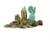 (SS)Cactus