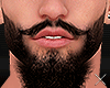 tz ❌ Ast. Add.Beard v3