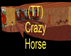 (TT) Crazy Horse 1