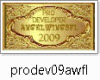 AWFL09 DEV STICKER09