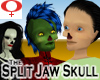 Split Jaw Skull -Female