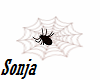 Spider Web DRV