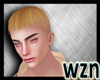 wzn isacan Zer