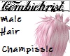 Champizzle Hair [m]