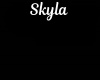 Skyla Lil Necklace/F