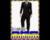 [BGS]Vip Suit