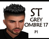 ST ST1 GREY OMBRE 17