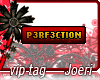 j| P3rf3ction