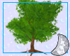 Silvermoon Tree 2