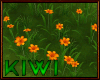 Orange flower bed