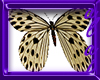 BUTTERFLY GARDEN 2