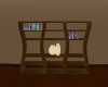 WSP Choc/Honey Bookshelf