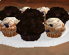 TF* Plate of Muffins
